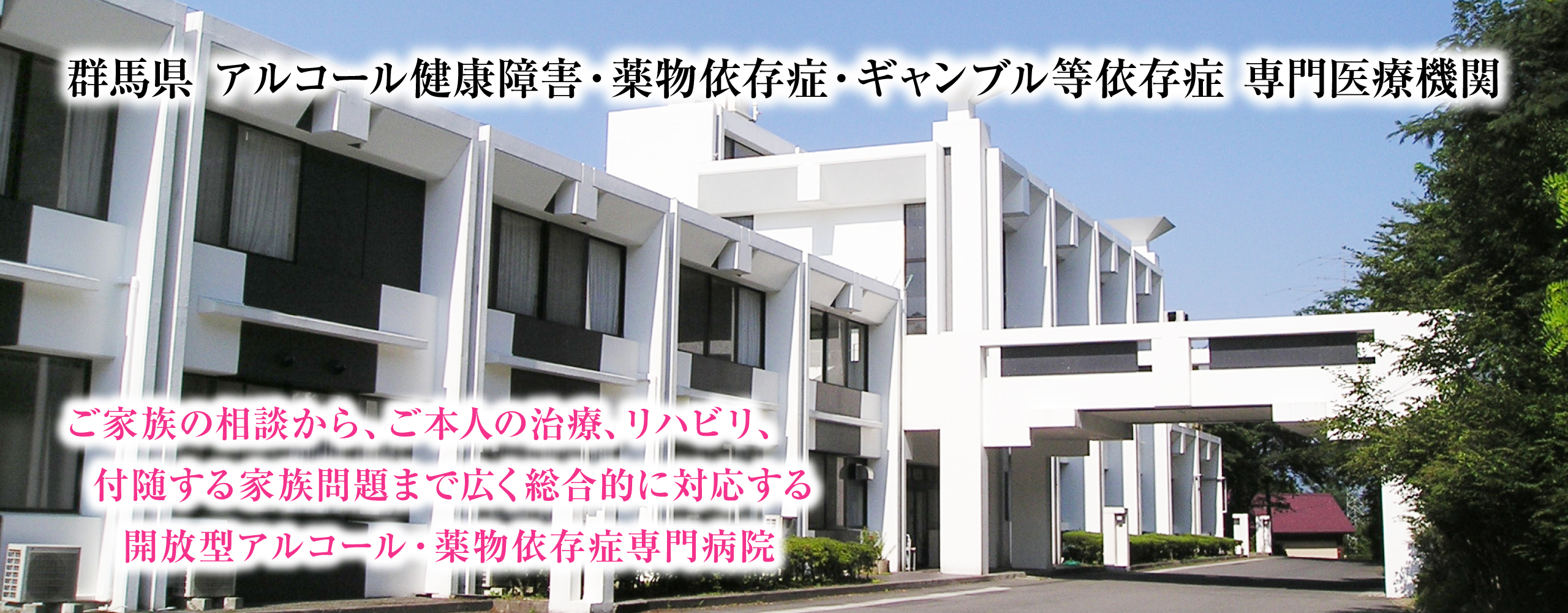 群馬県アルコール健康障害・薬物依存症・ギャンブル等依存症専門医療機関